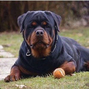 Meet your Posher, Dave